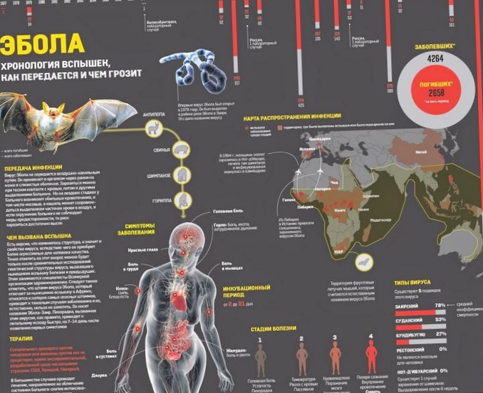5 Вирусов опаснее, чем эбола
