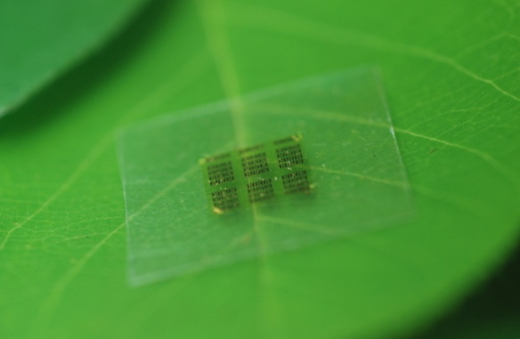 Биоразлагаемый компьютерный чип сделан из дерева