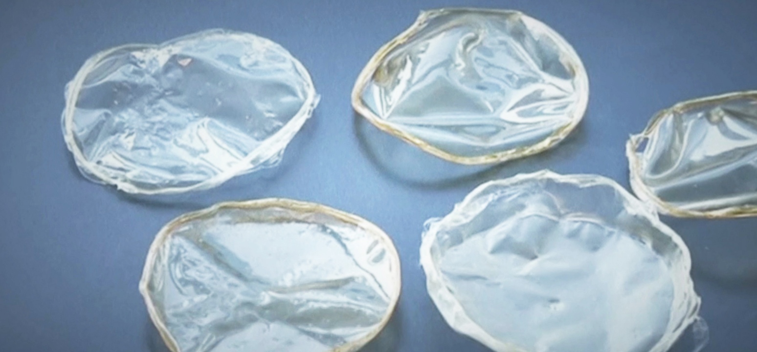 Биоразлагаемый пластик из панцирей креветок