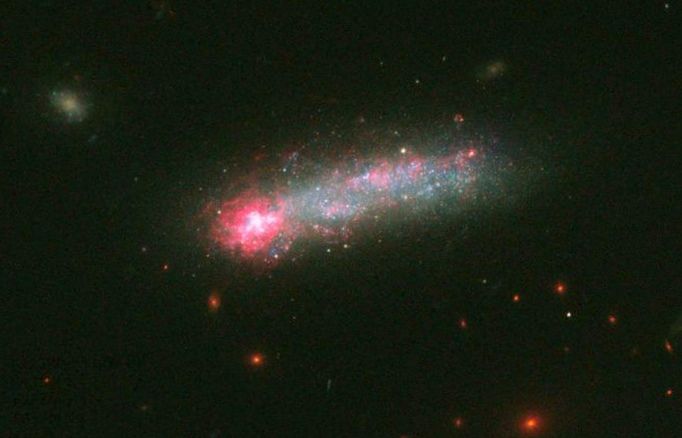 «Хаббл» обнаружил звездный фейерверк в галактике-головастике
