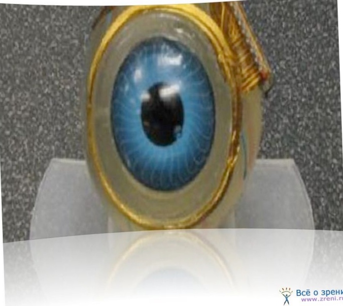 Искусственный глаз: новое в разработке беспроводных имплантатов
