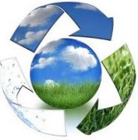 Искусство переработки мусора от компании waste management