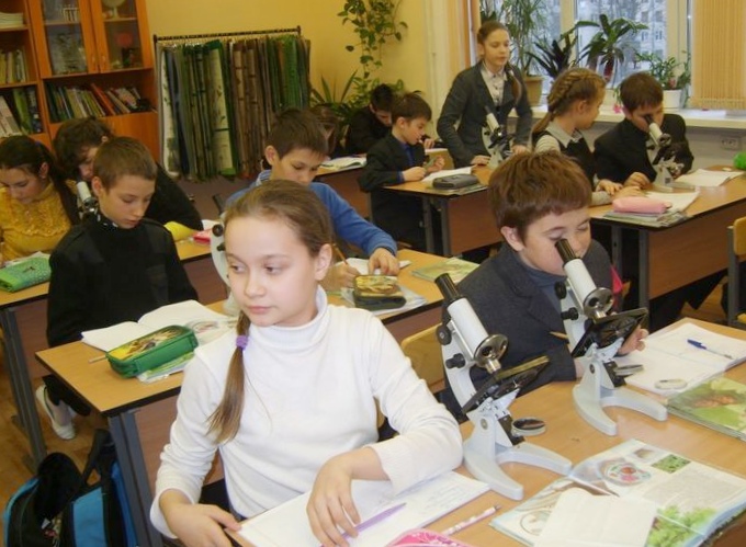 Министр образования и науки российской федерации выступила за возобновление трудовой практики в школе