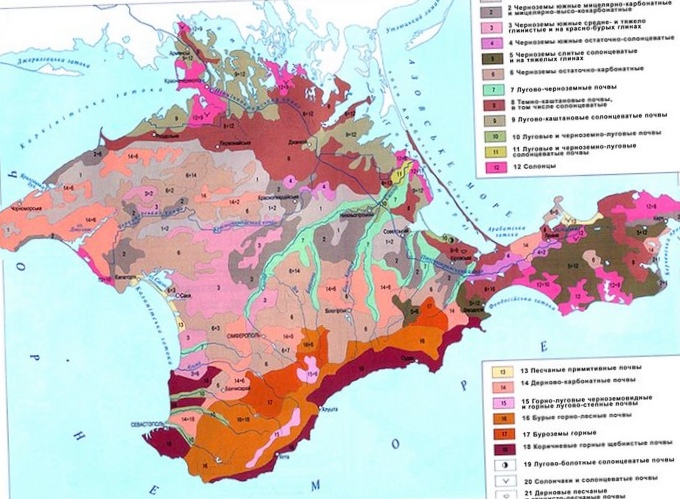 Почвы крыма. карта распространения основных почвенных типов