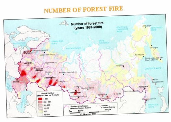 Распределение лесного фонда россии по регионам