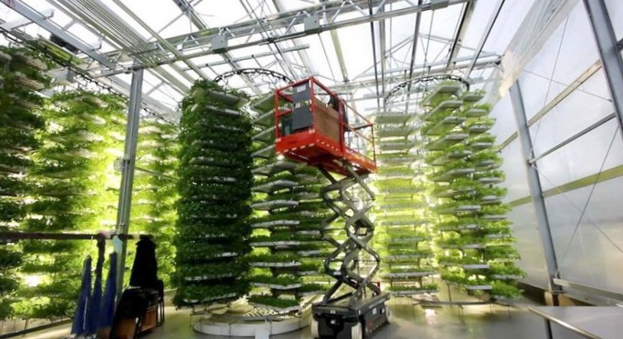 Вертикальные фермы: в будущем каждый сможет выращивать пищу дома